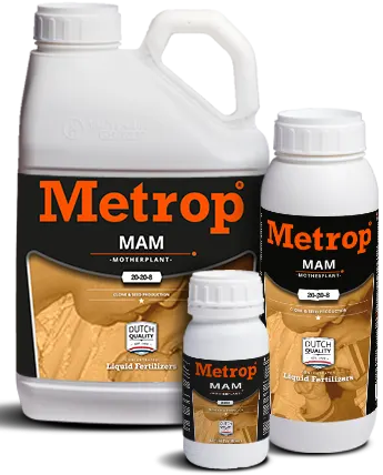 Mother plants nutrition MAM